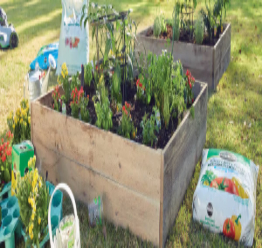Lawn & Garden